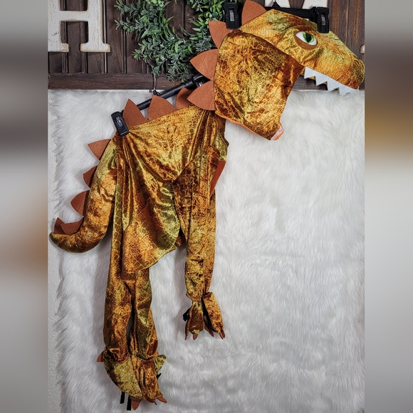 T-Rex Costume - Picture 2 of 12
